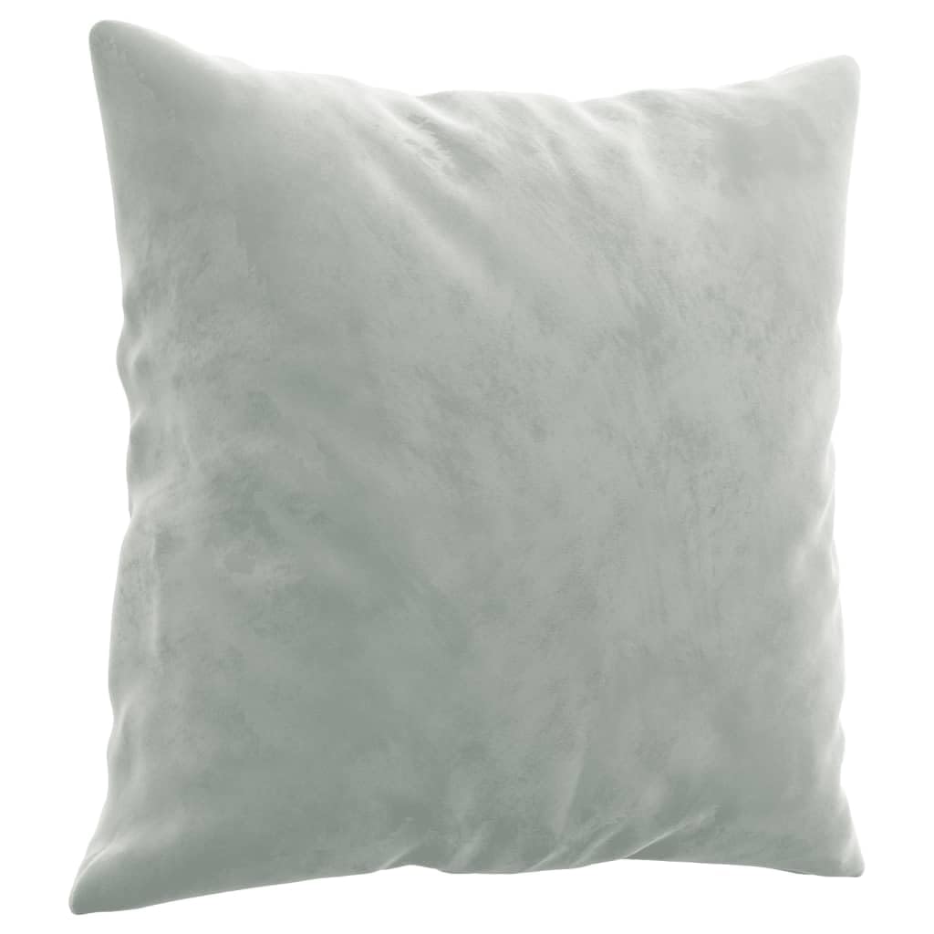 Light Gray Velvet 2 Piece Sofa Set with Throw Pillows W18042