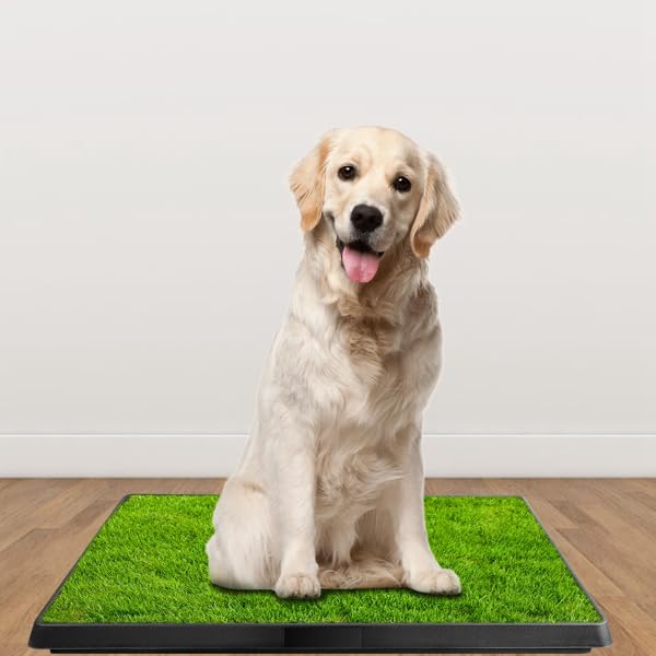 Indoor Outdoor Dog Potty with Artificial Turf Grass Mat 25x20 in E32158