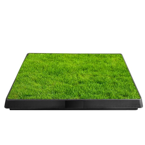 Indoor Outdoor Dog Potty with Artificial Turf Grass Mat 25x20 in E32158