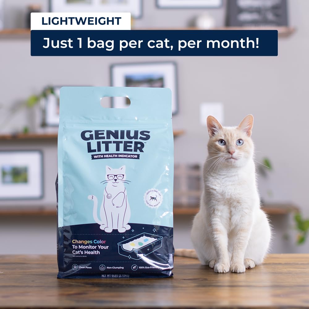 Lightweight Crystal Silica Gel Cat Litter, 6 lb Bag A40267