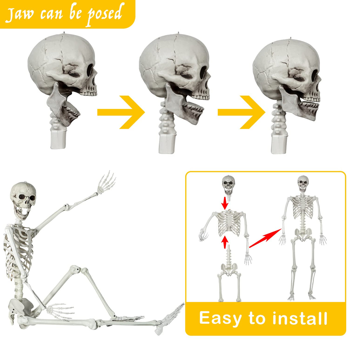 Life Size Skeleton with Posable Joints M4263