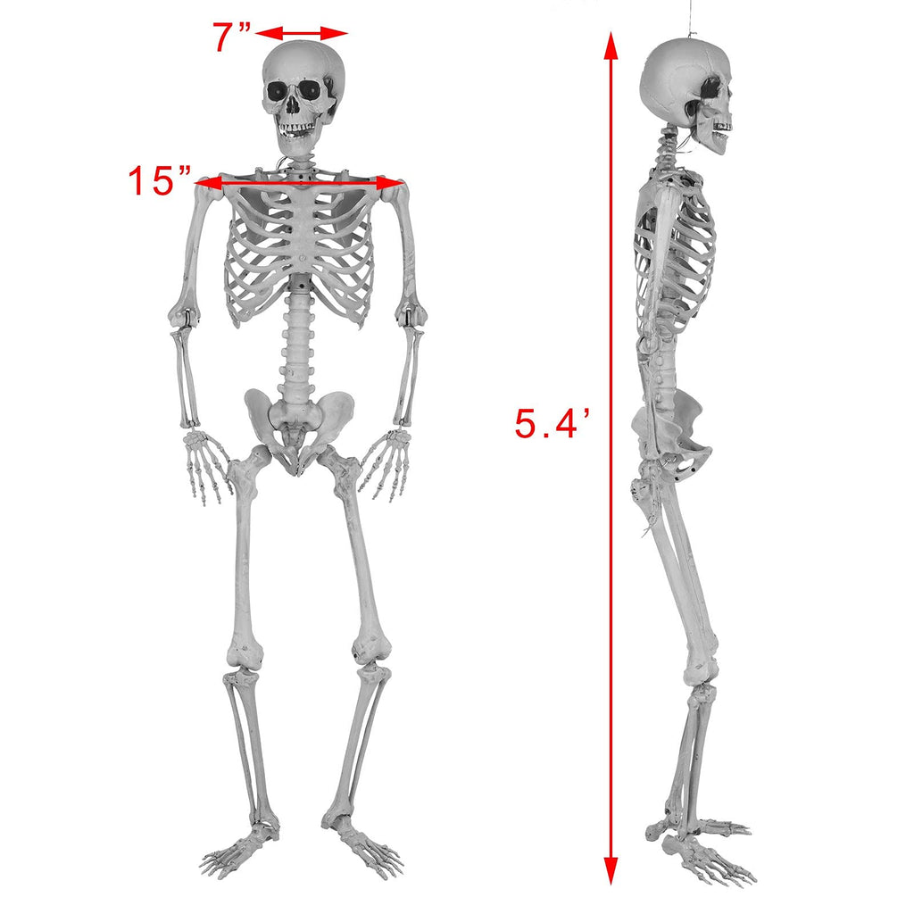 5.4 Ft Lighted Life Size Plastic Skeleton with Movable Joint Y2379