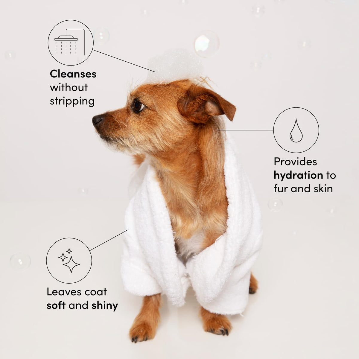 Pet Shampoo 16 Fl oz L480