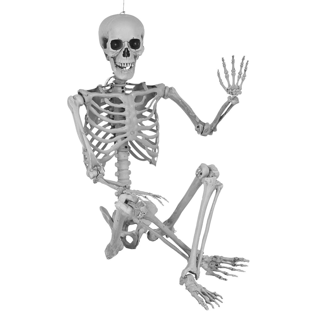 5.4 Ft Lighted Life Size Plastic Skeleton with Movable Joint Y2379
