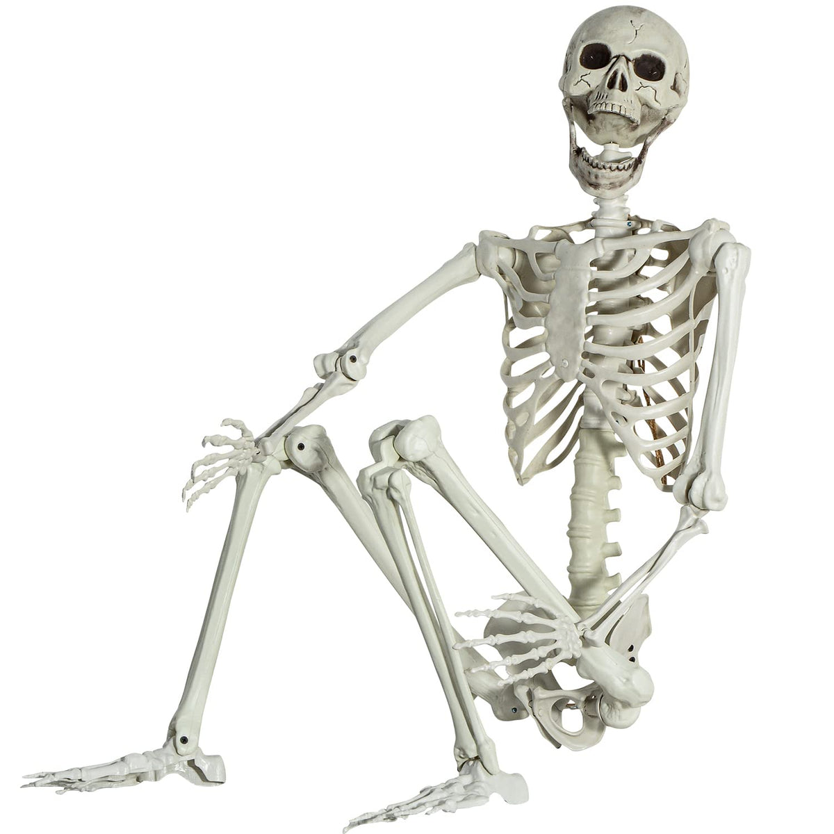 Life Size Skeleton with Posable Joints M4263