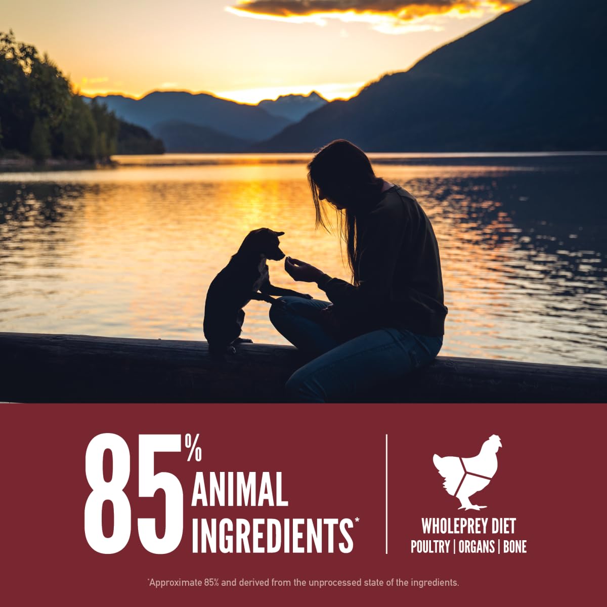 Grain Free Dry Dog Food 4lb Bag K887571
