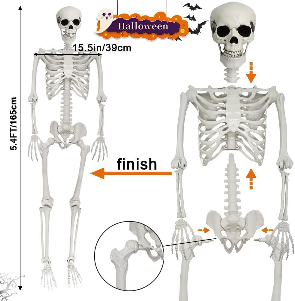 Full Size Poseable Plastic Skeleton Y42352
