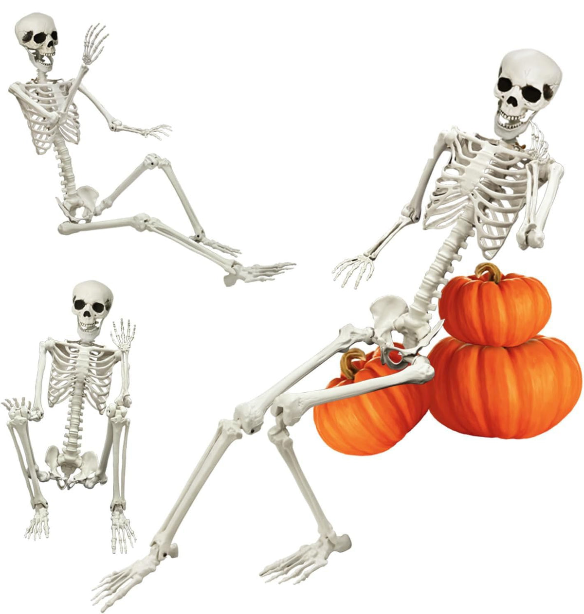 Full Size Poseable Plastic Skeleton Y42352
