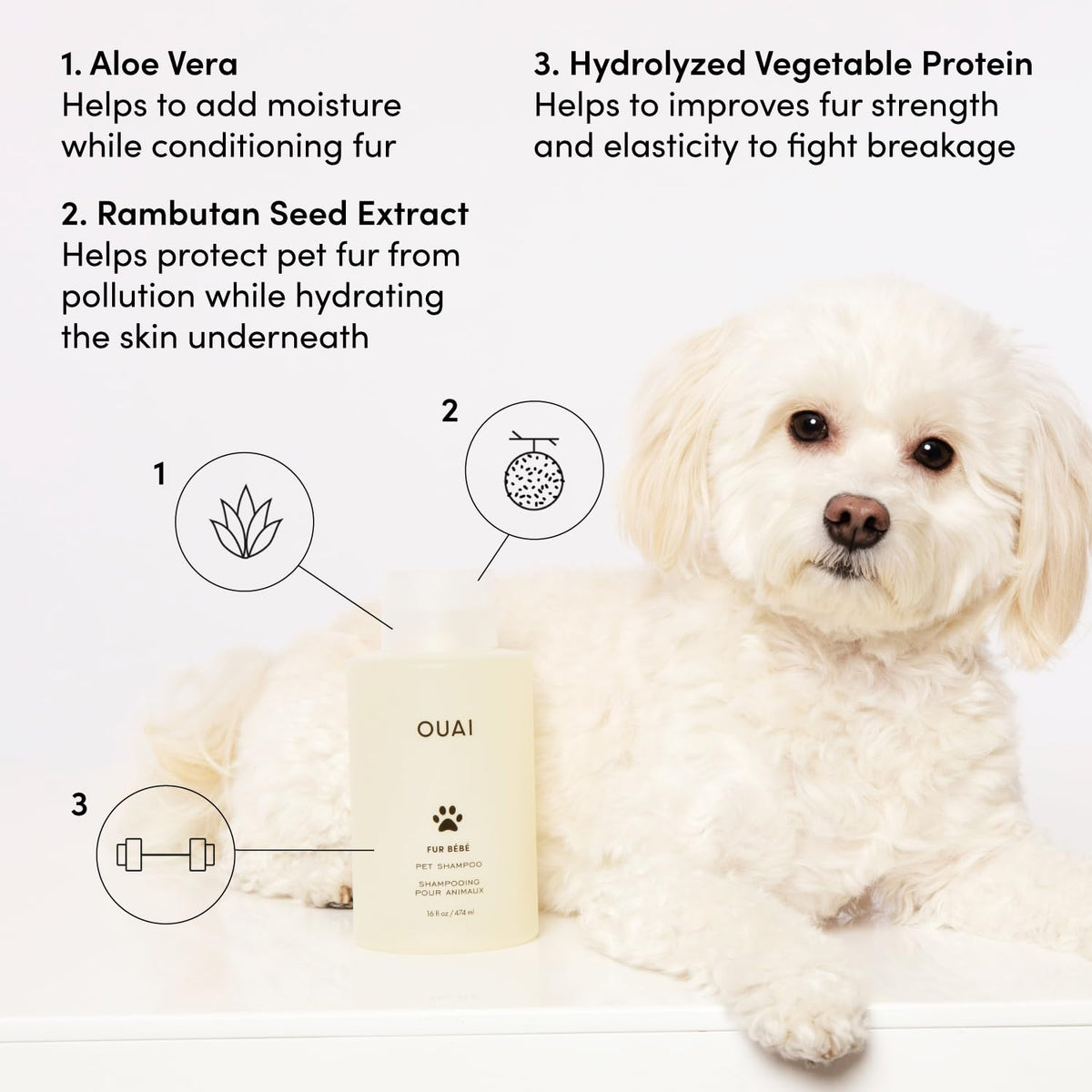 Pet Shampoo 16 Fl oz L480