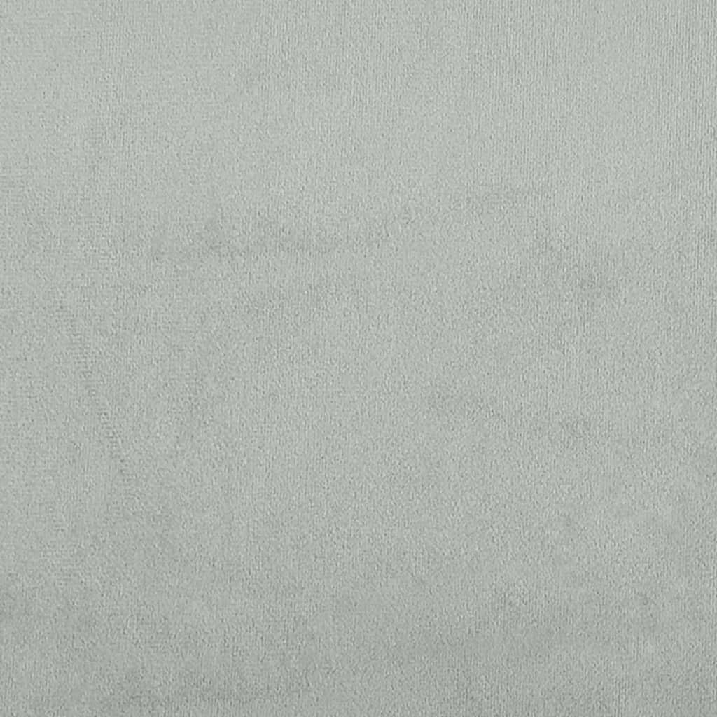 Light Gray Velvet 2 Piece Sofa Set with Throw Pillows W18042