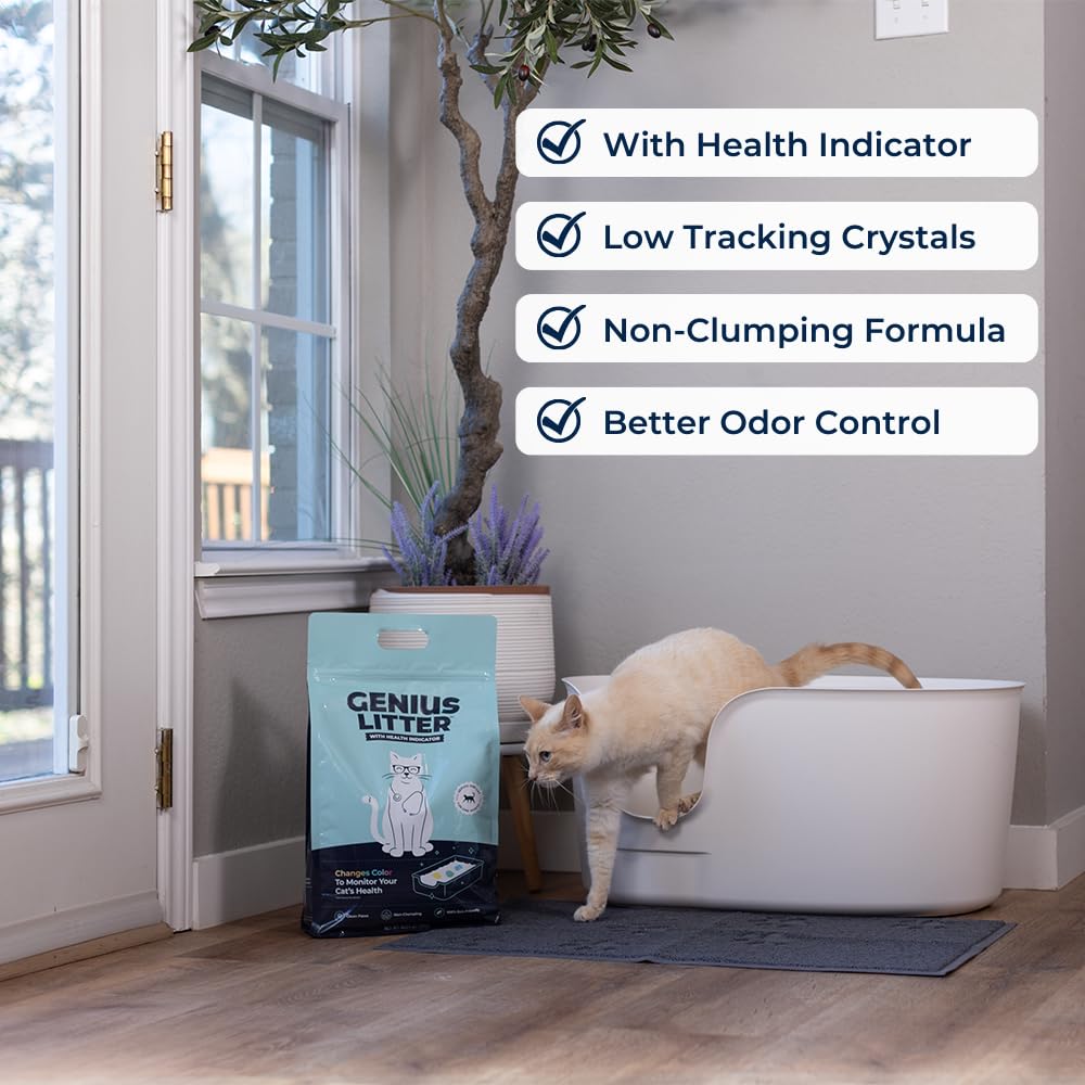 Lightweight Crystal Silica Gel Cat Litter, 6 lb Bag A40267