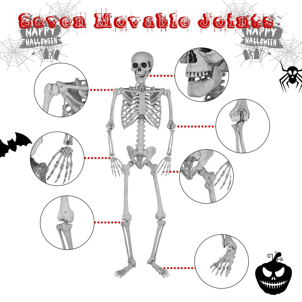 5.4 Ft Lighted Life Size Plastic Skeleton with Movable Joint Y2379