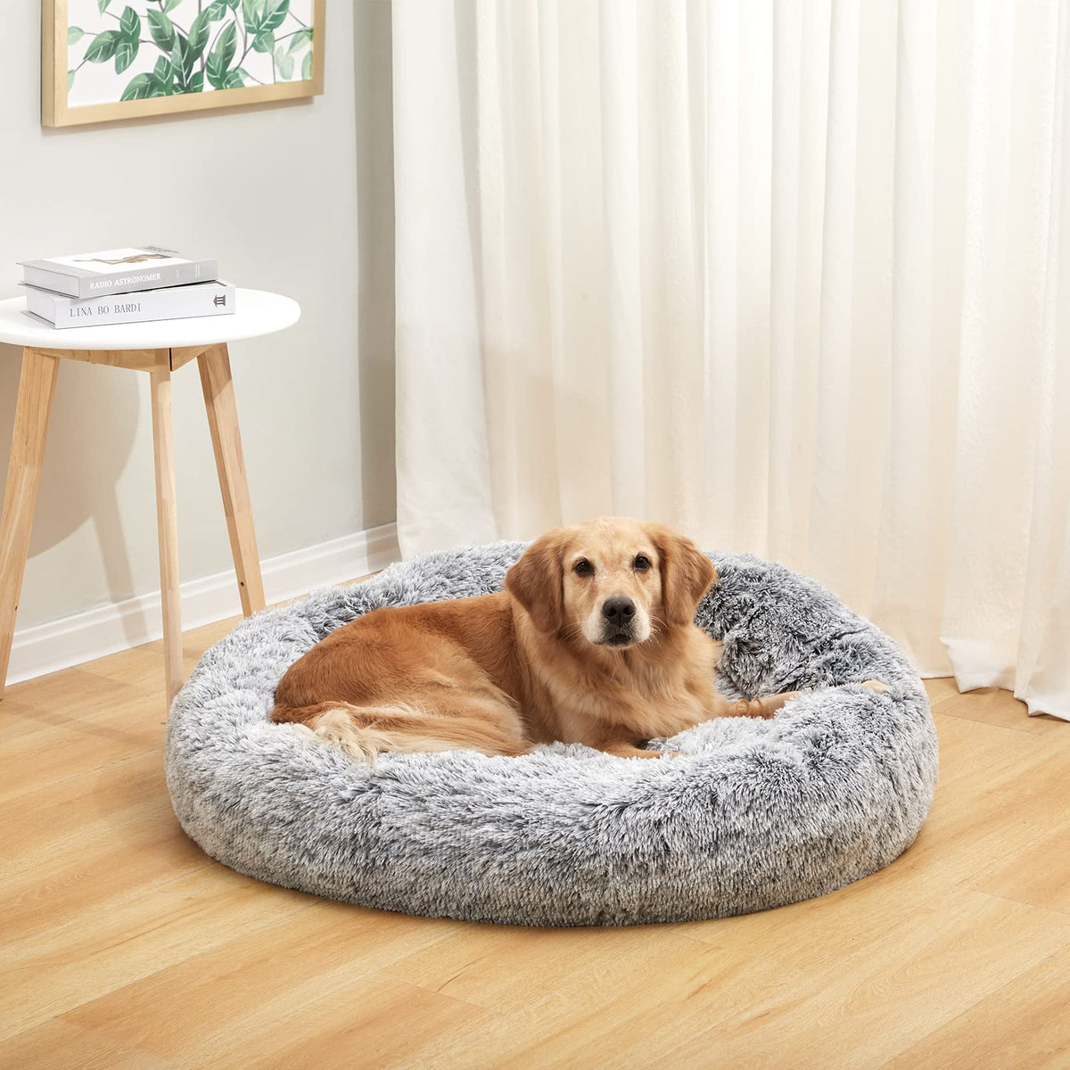 Dark Grey 36" Round Dog Bed W466