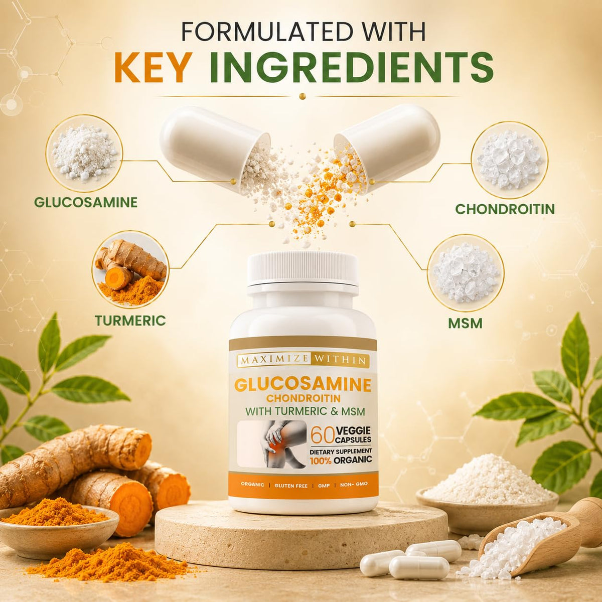 Glucosamine Chondroitin Turmeric MSM 60 Veggie Capsules Q638
