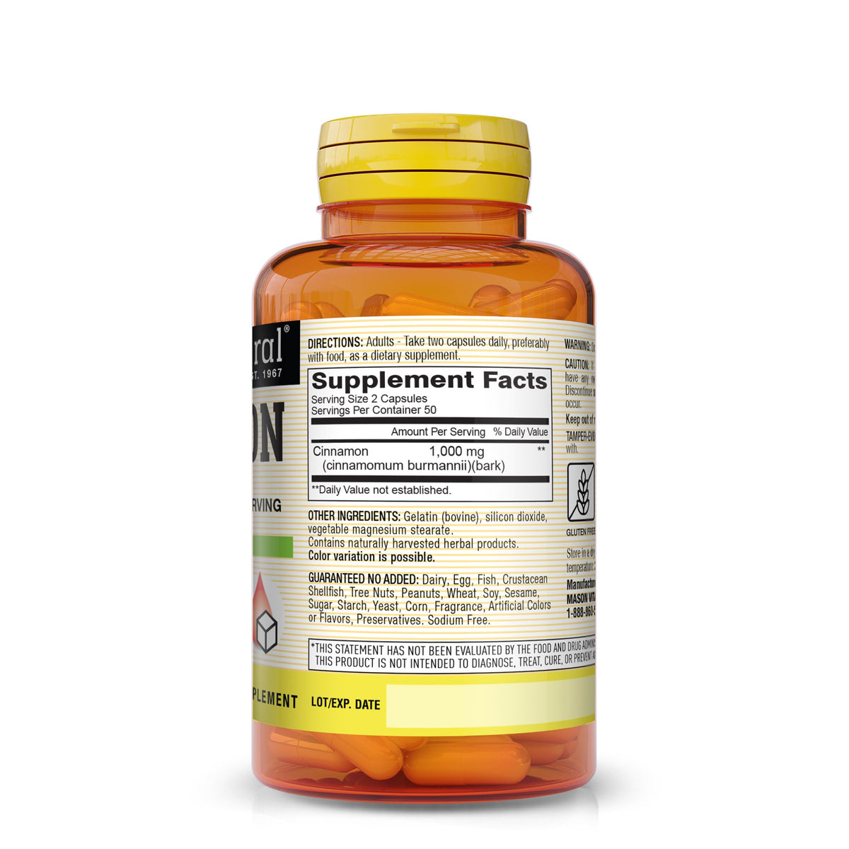 Cinnamon 1000 mg 100 Capsules Herbal Dietary Supplement V2834