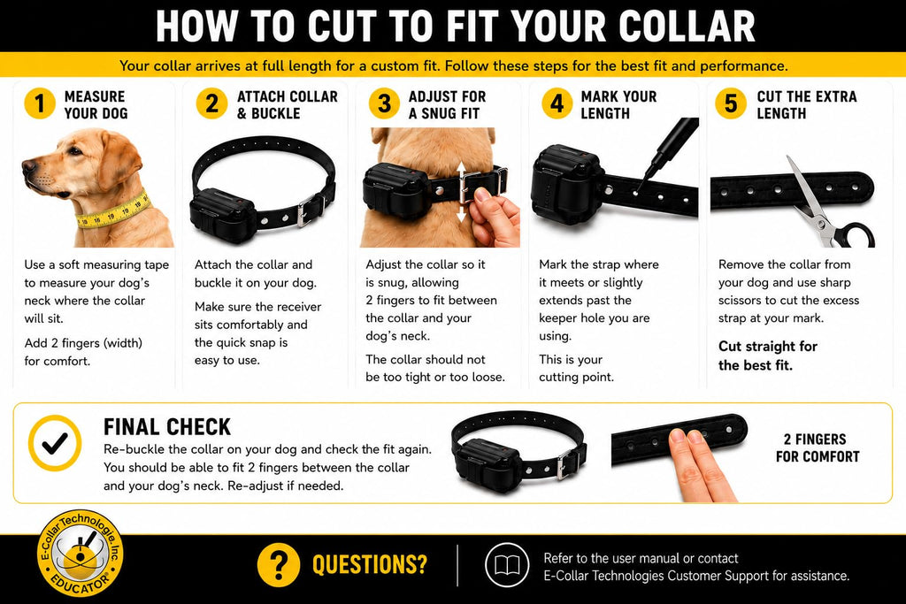 Black Quick Snap Collar Strap W951