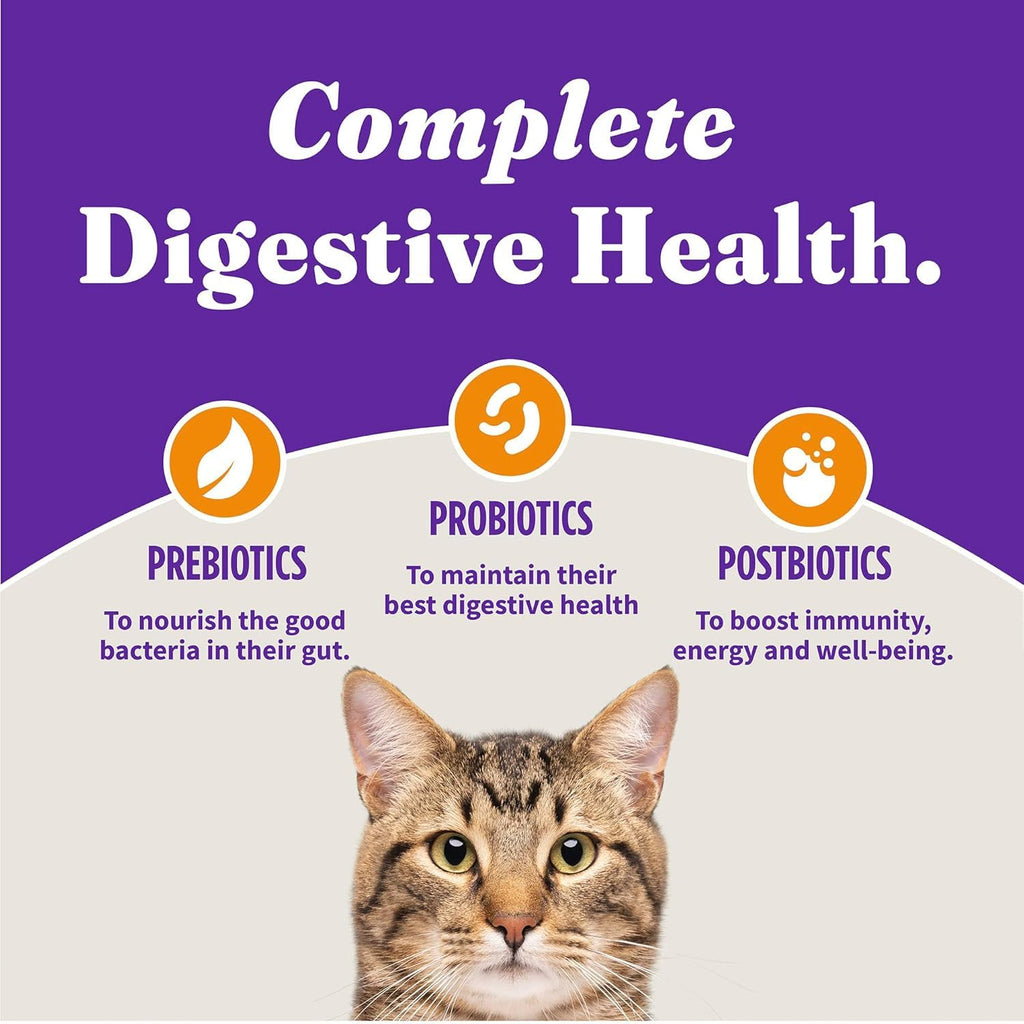 Dry Cat Food 3 lb I5494
