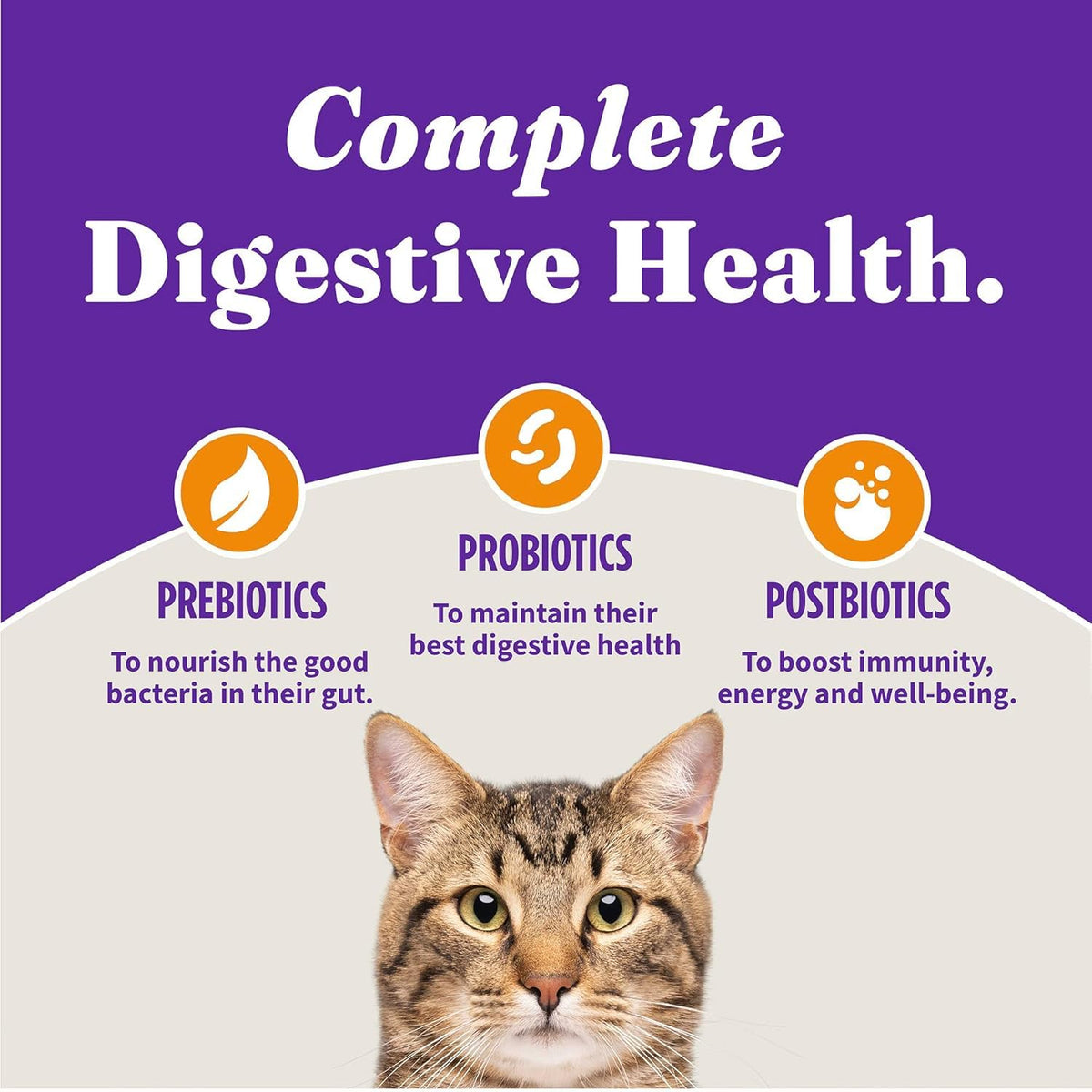 Dry Cat Food 3 lb I5494