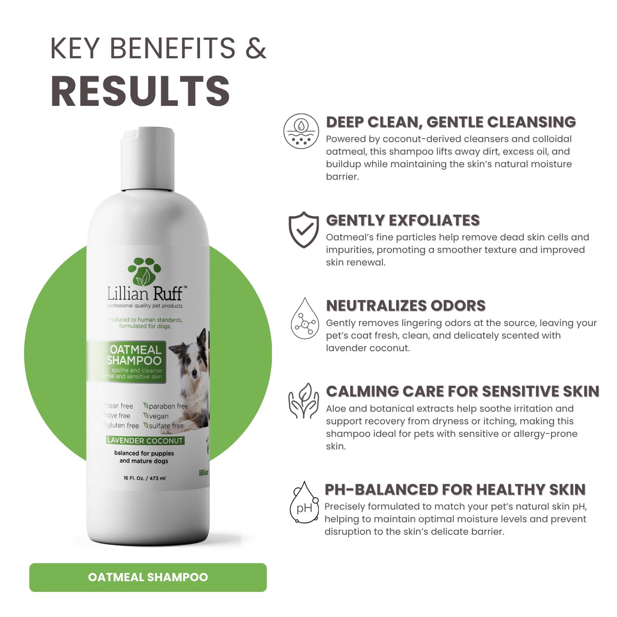 Oatmeal Dog Shampoo 16oz R1694
