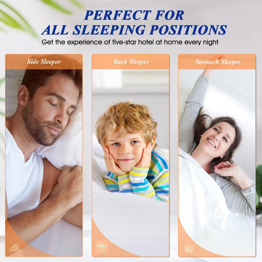 King Size Bed Pillows Set of 2 H822697