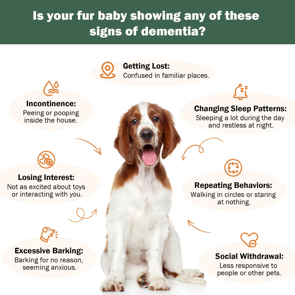 Dog Supplements N4421