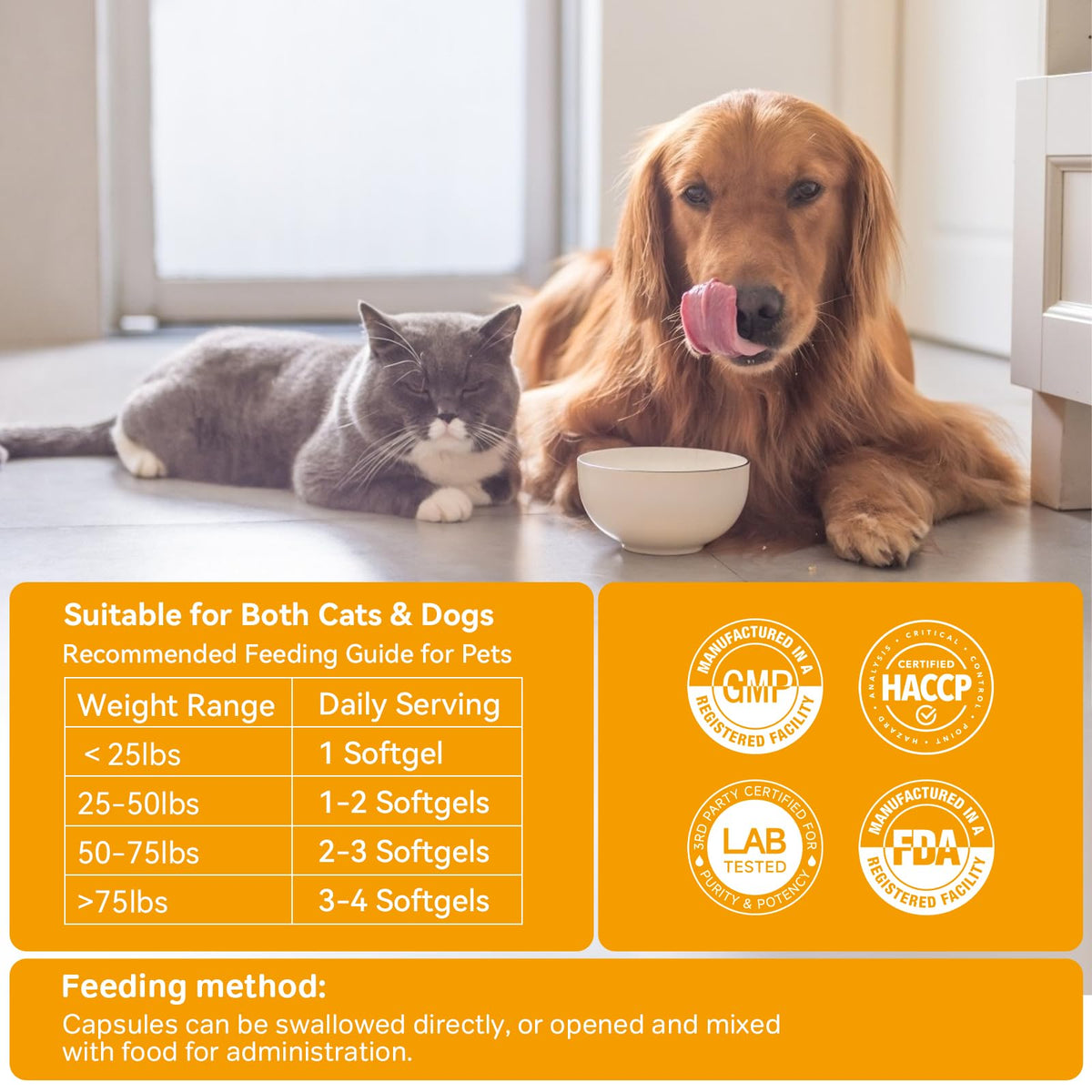 Probiotics for Dogs and Cats T367