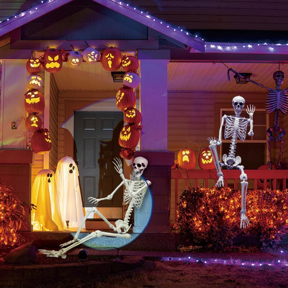 Full Size Poseable Plastic Skeleton Y42352