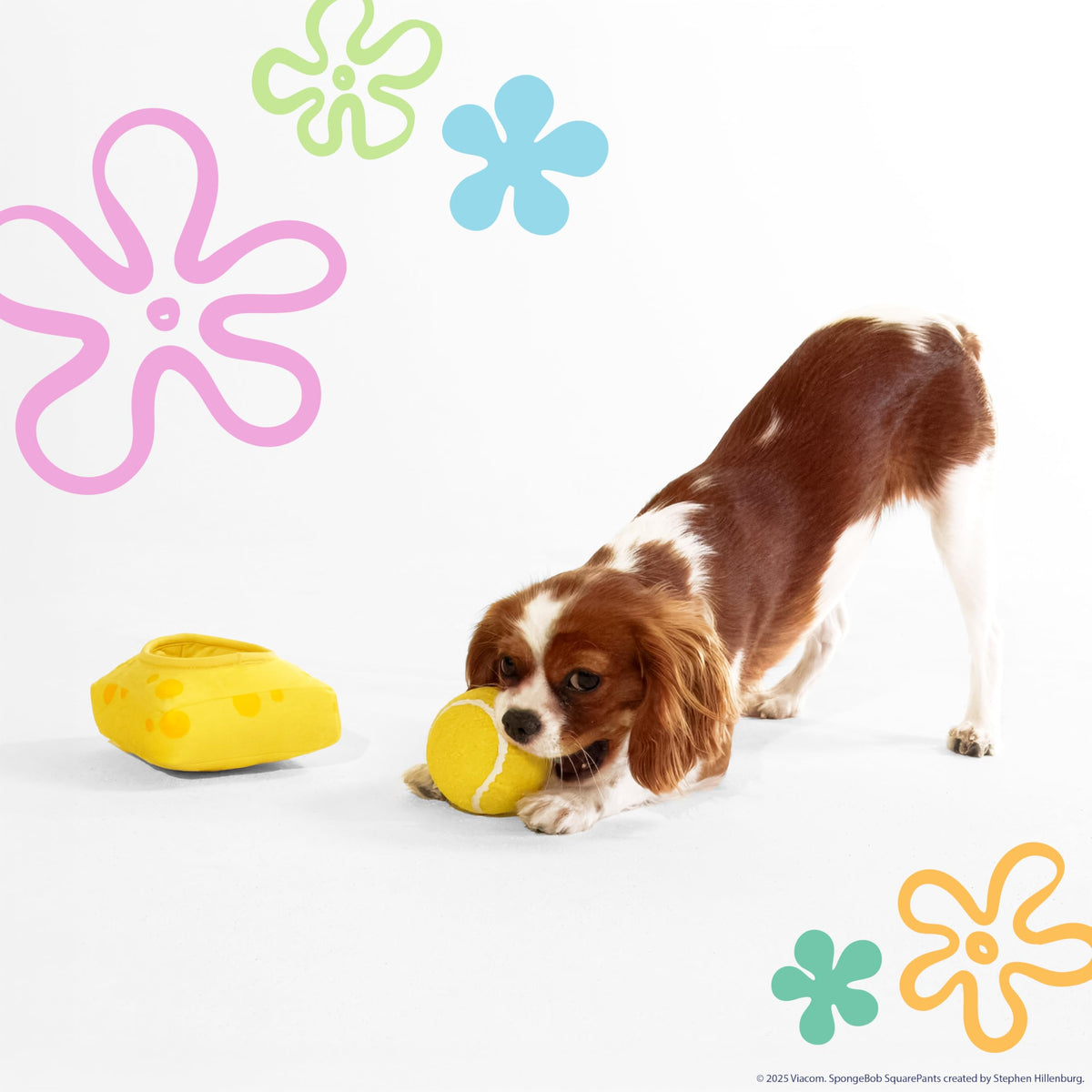 Squeaky Plush Dog Toys 2-Pack I41031