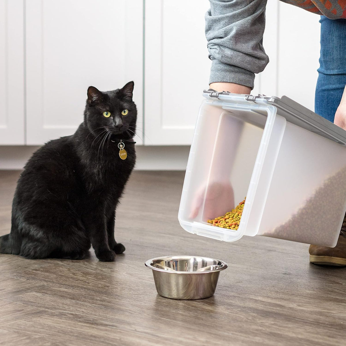 Dog Food Storage Container Up to 10 lbs Q5623