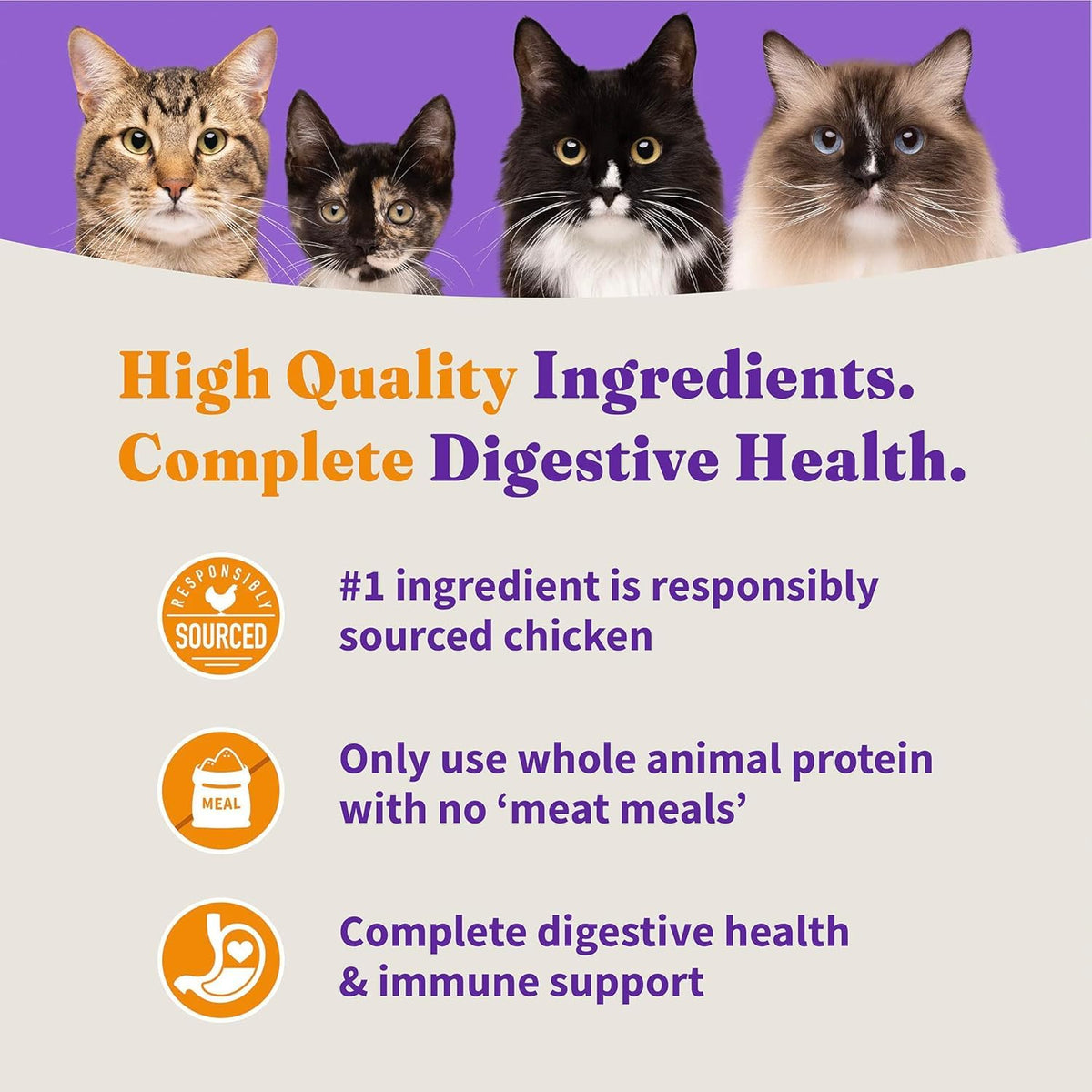 Dry Cat Food 3 lb I5494