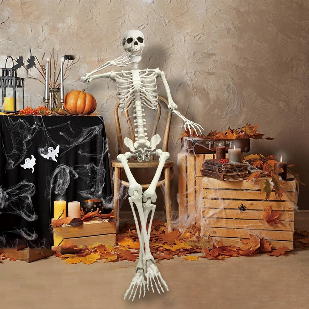 Full Size Poseable Plastic Skeleton Y42352