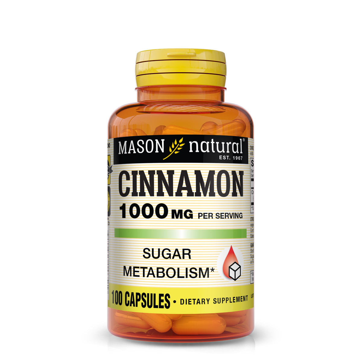 Cinnamon 1000 mg 100 Capsules Herbal Dietary Supplement V2834
