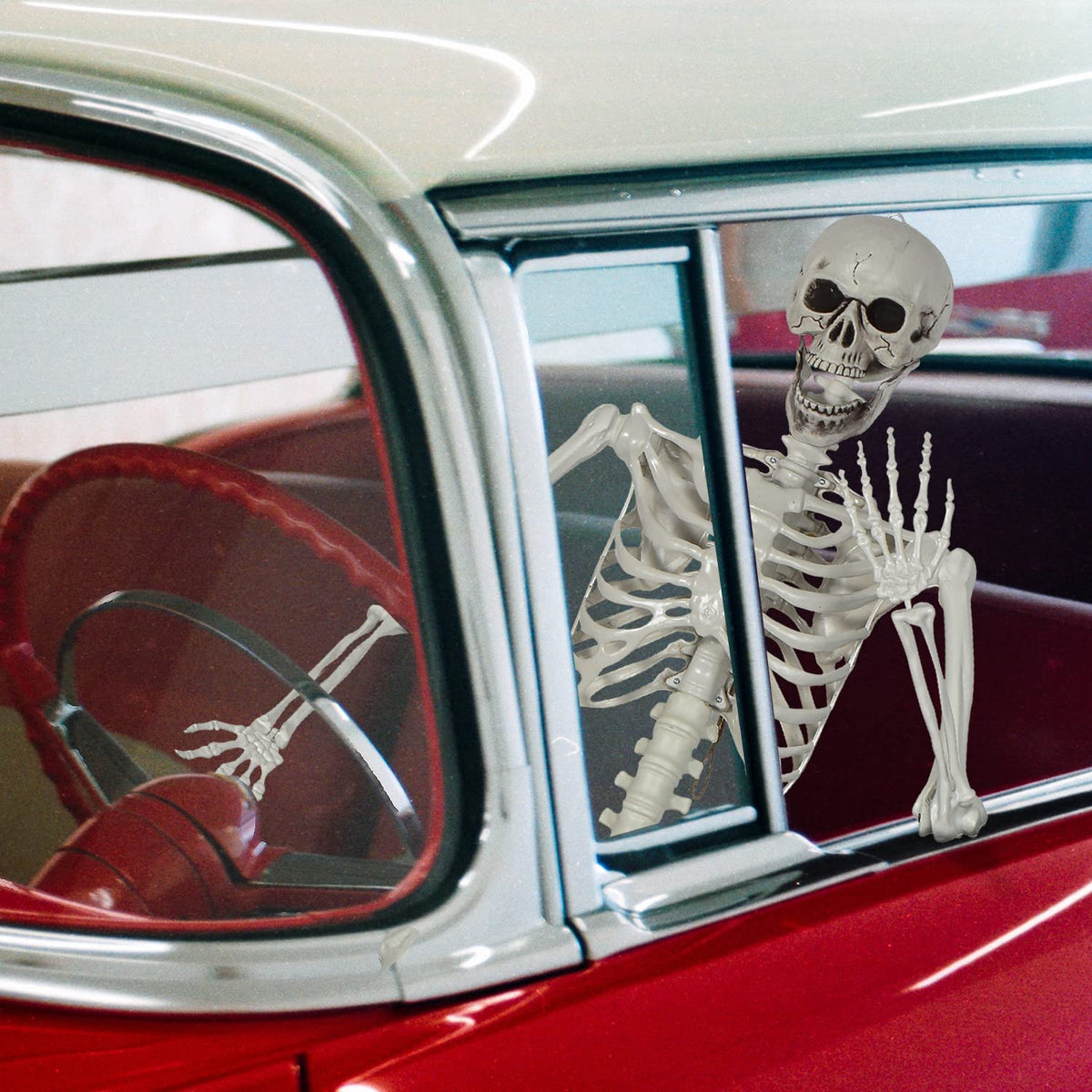 Life Size Skeleton with Posable Joints M4263