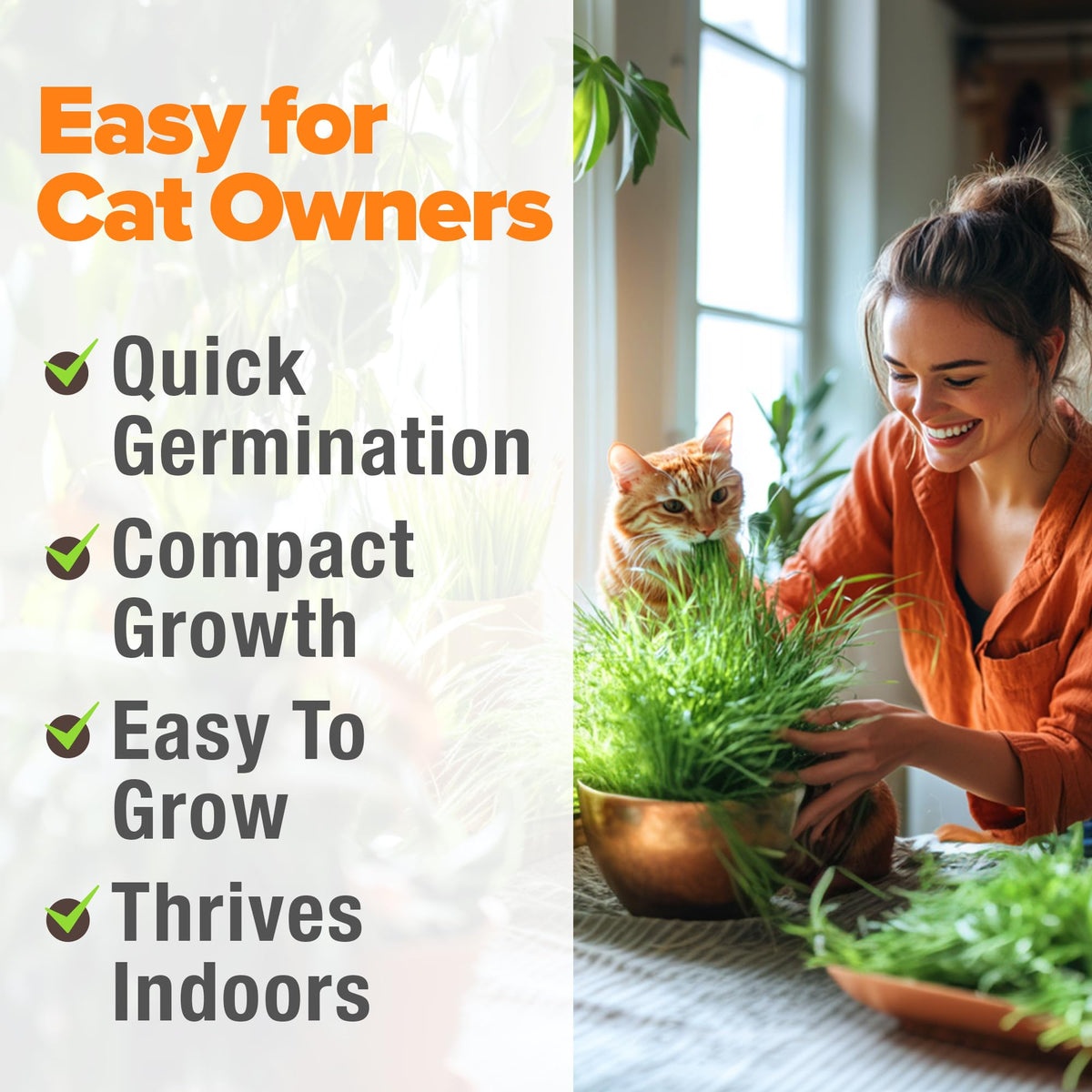Organic Cat-Grass Seed Mix 4 oz U539247