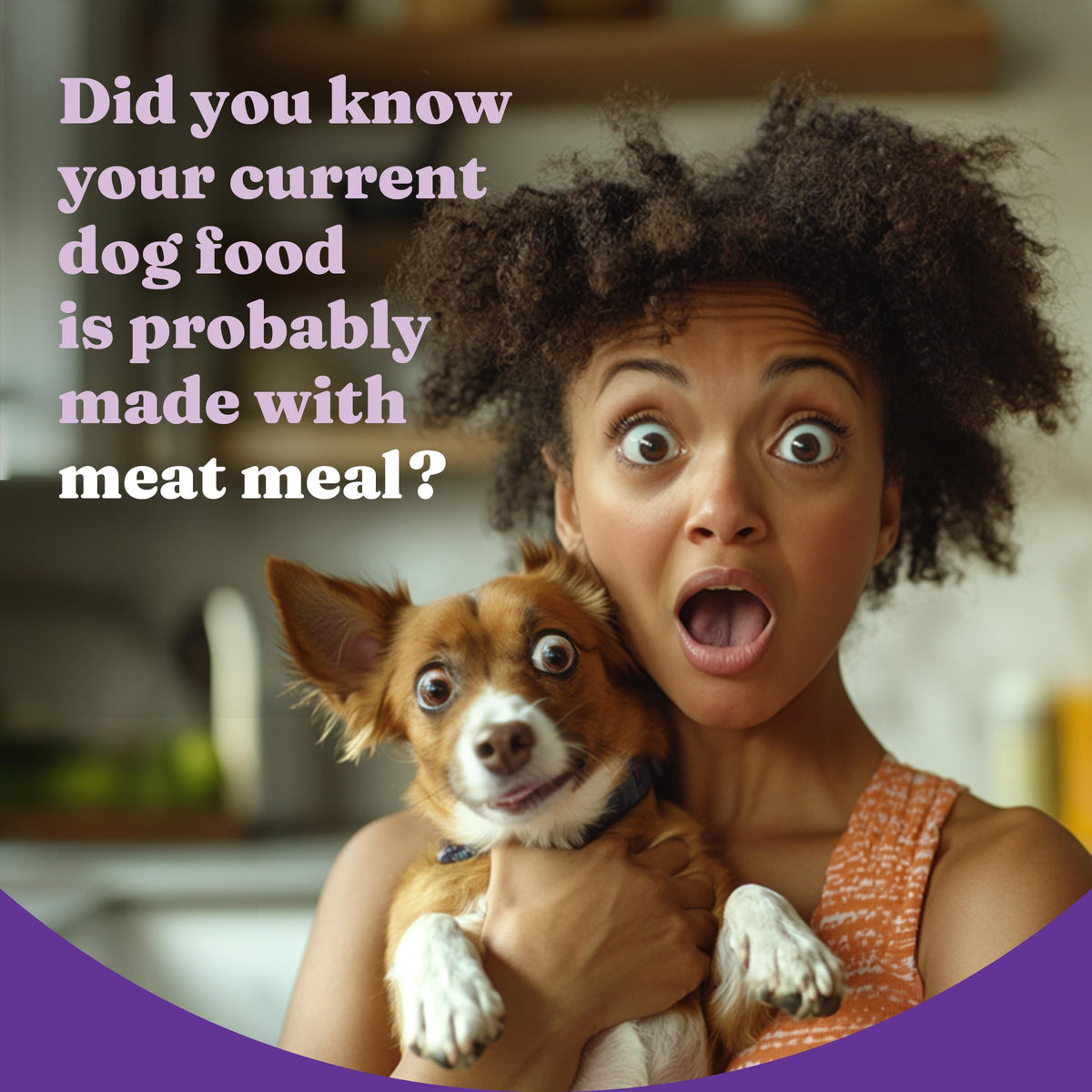 Dry Dog Food, Cage-Free Chicken & Brown Rice Recipe, 21 lb W46427