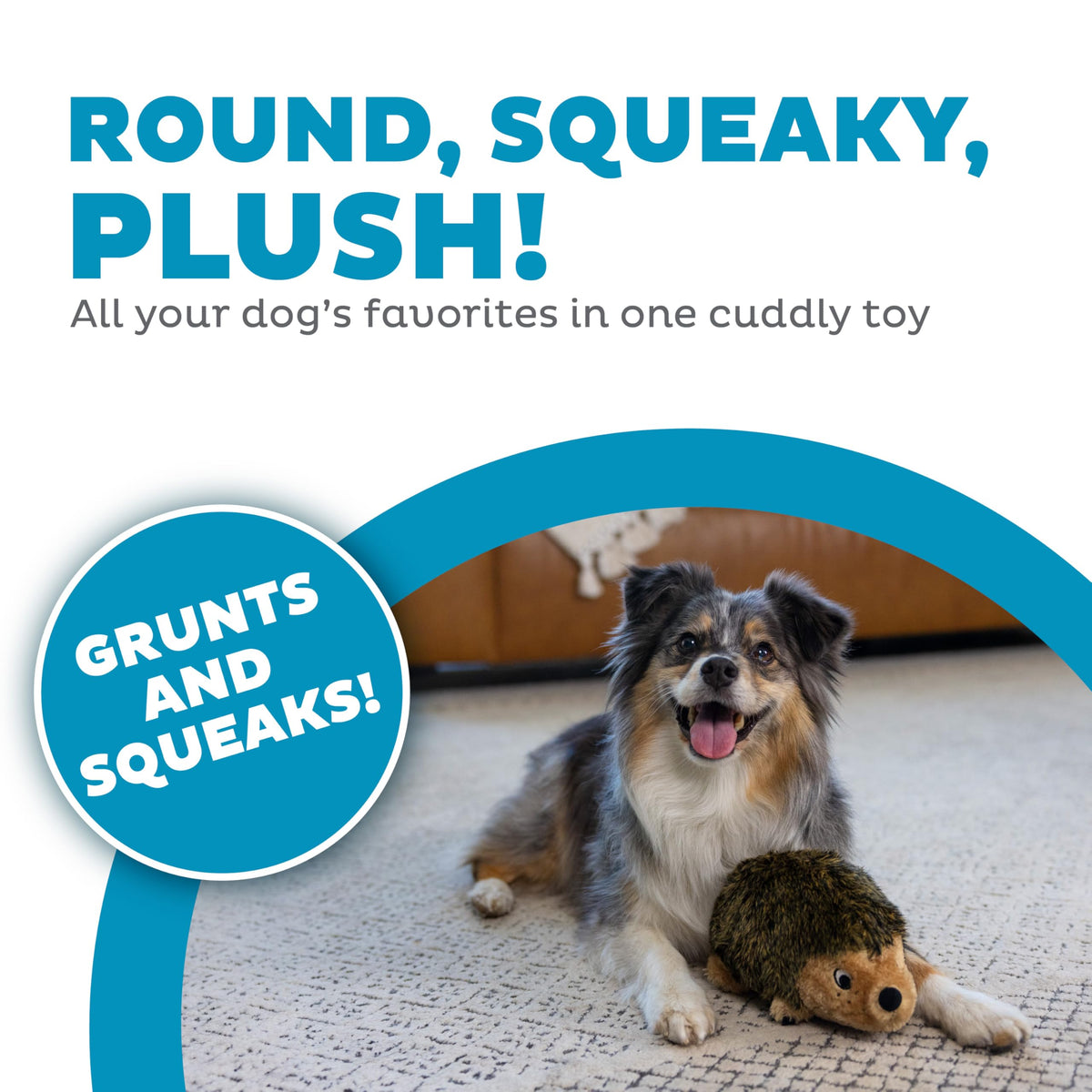 Plush Dog Toy O881