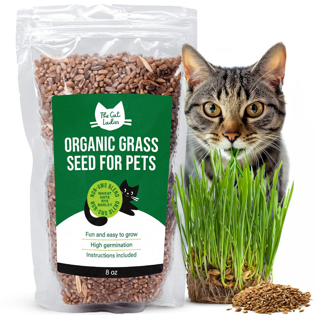 100% Organic Cat Grass Seed 8oz W338