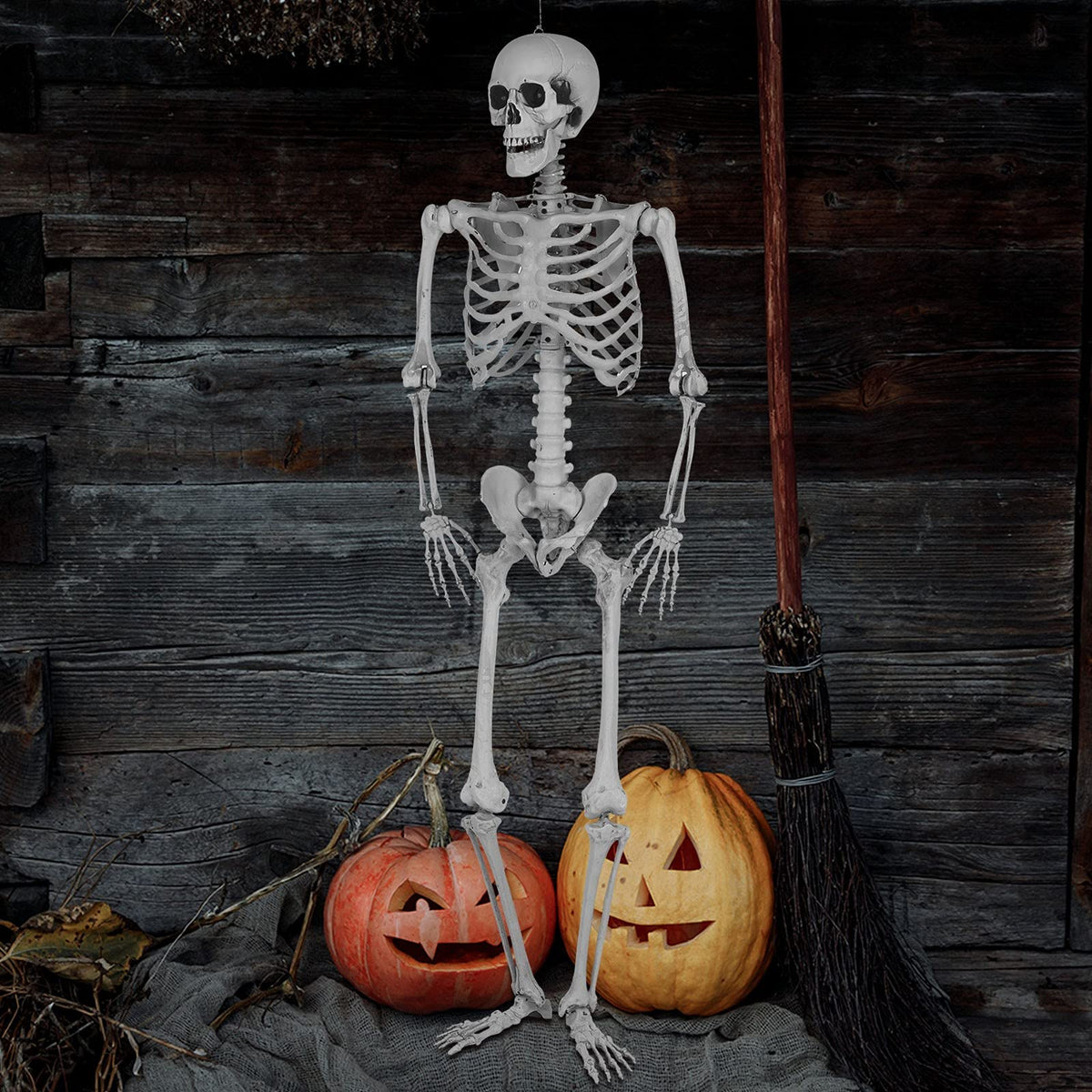 5.4 Ft Lighted Life Size Plastic Skeleton with Movable Joint Y2379