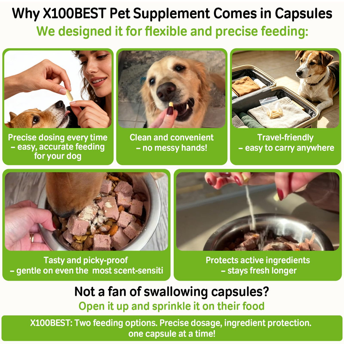 Probiotics for Dogs and Cats T367