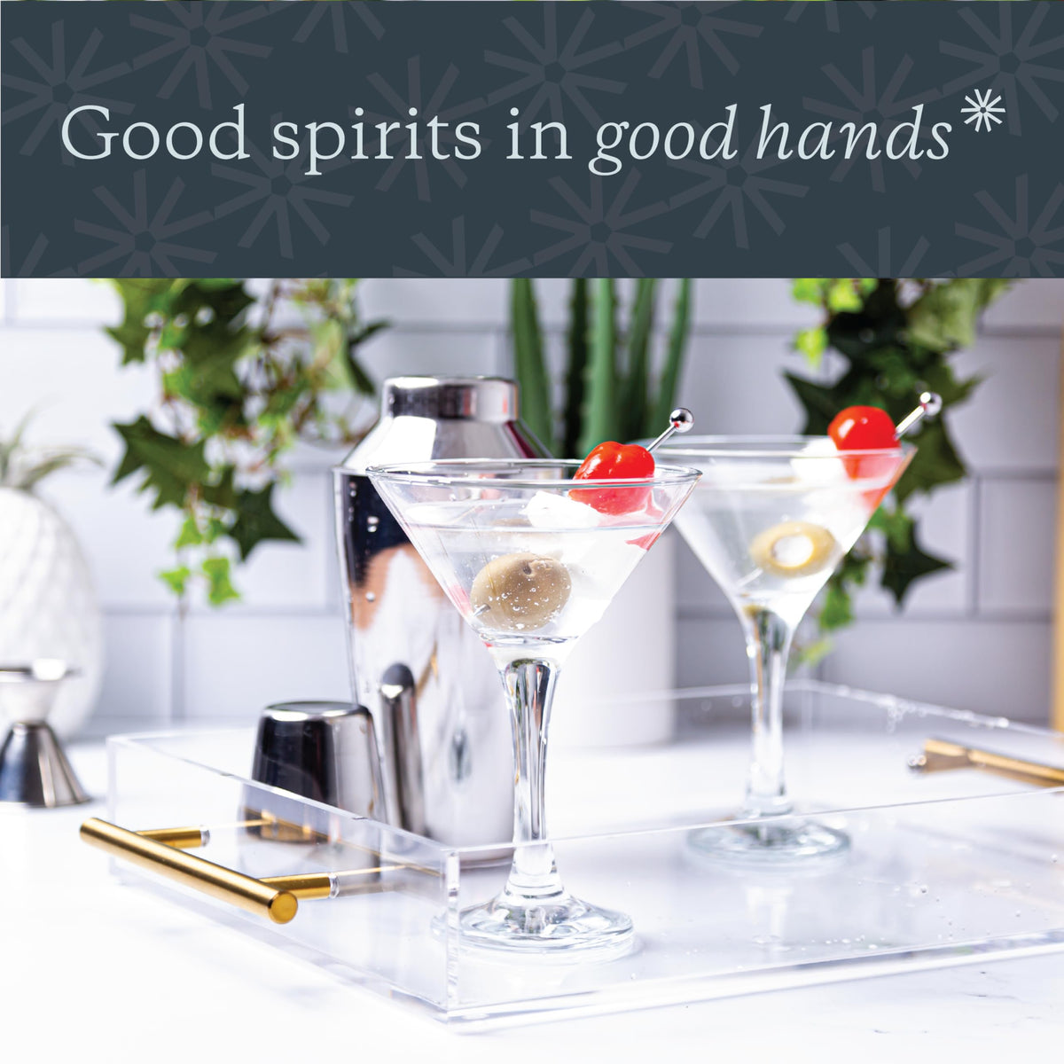 Martini Glasses Set of 12, 5.2 Ounce Cocktail Glasses with Stem, Dishwasher Safe P5436
