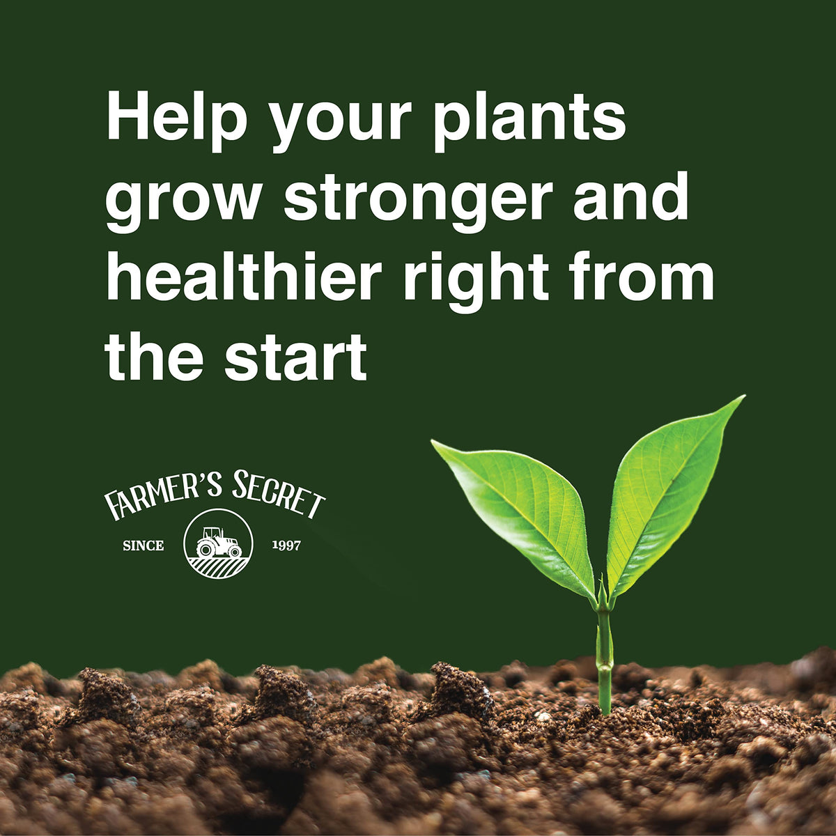 32oz Concentrated High Phosphorus Plant Booster V477