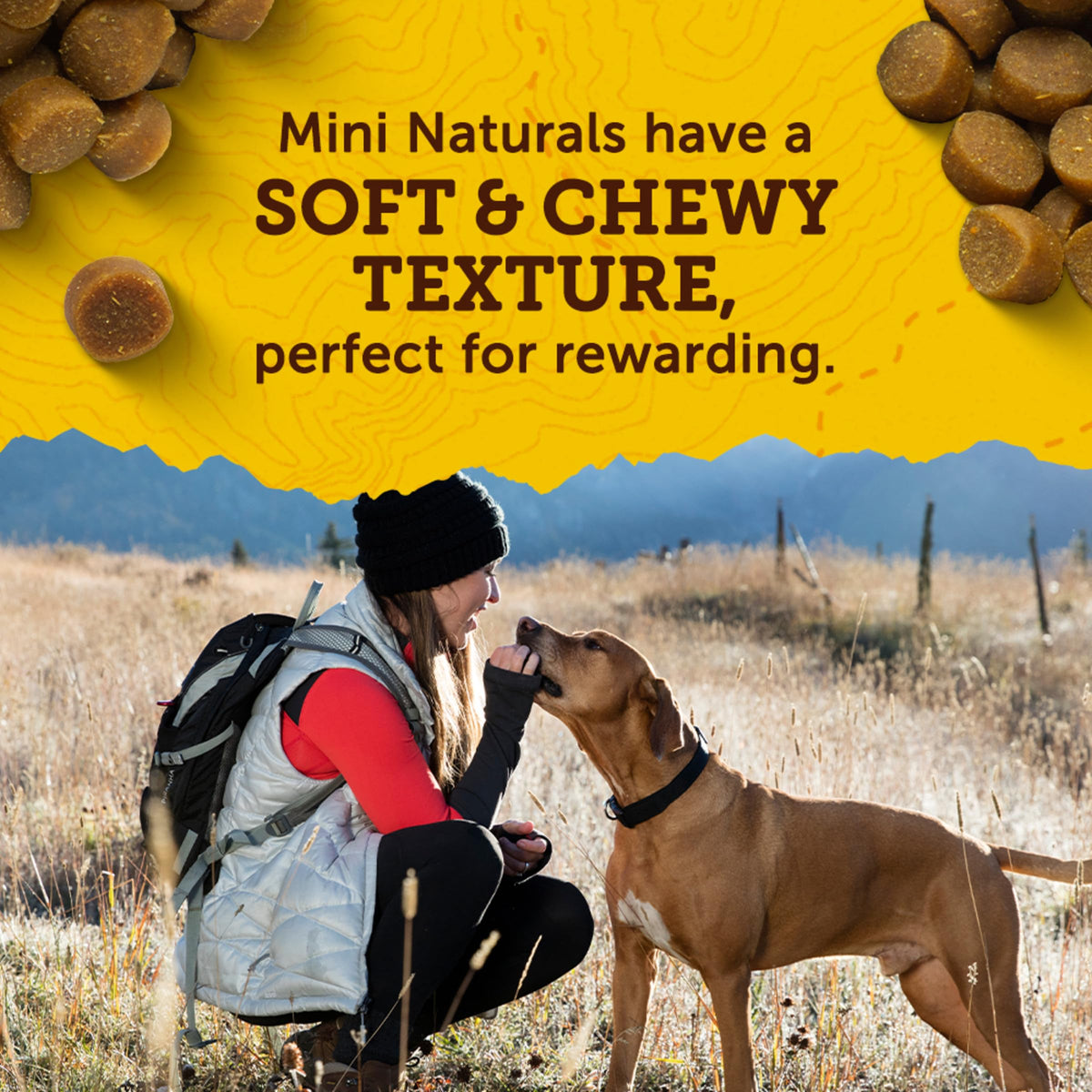 Real Peanut Butter Dog Training Treats 16 oz Z273