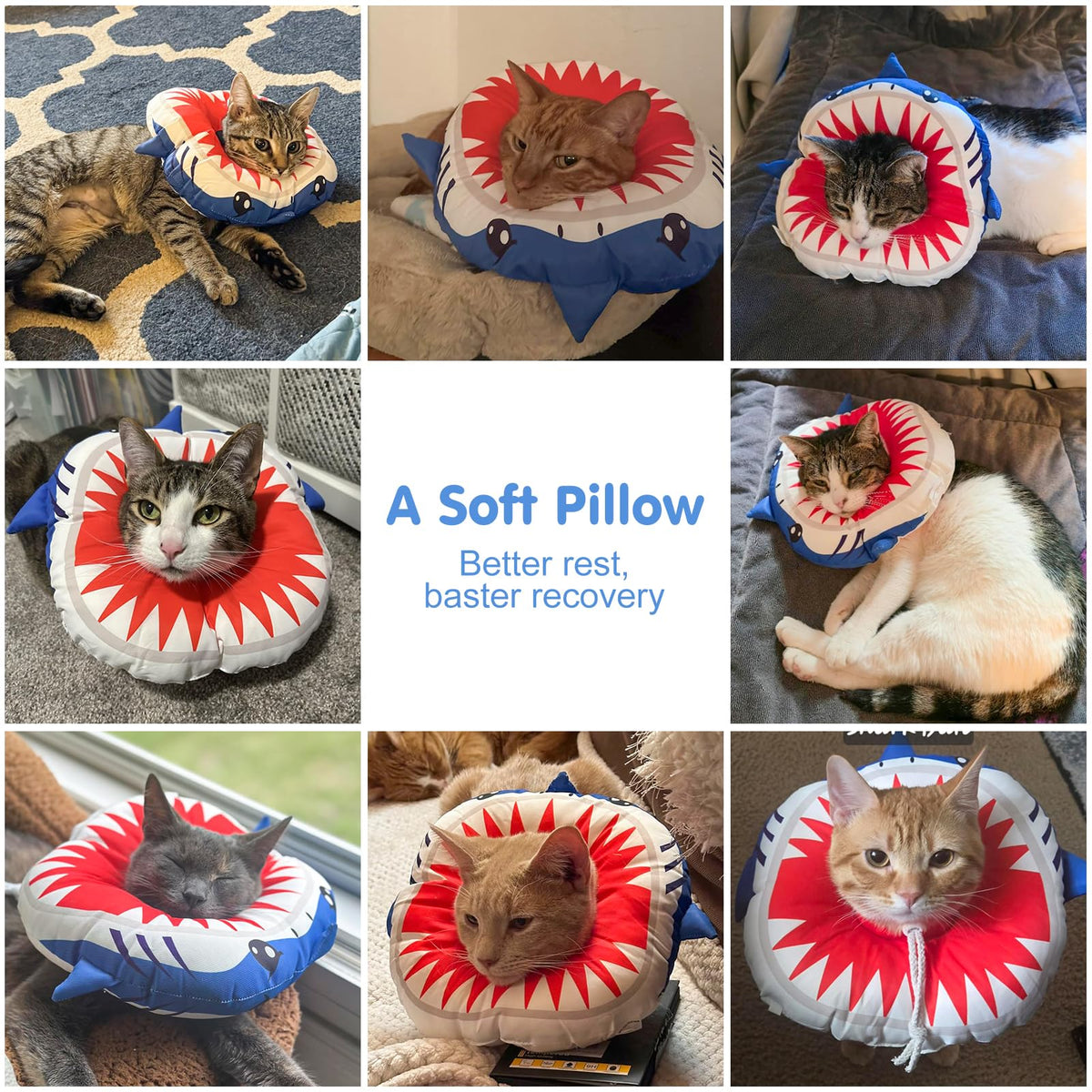 Soft Cat Recovery Cone Collar E13692