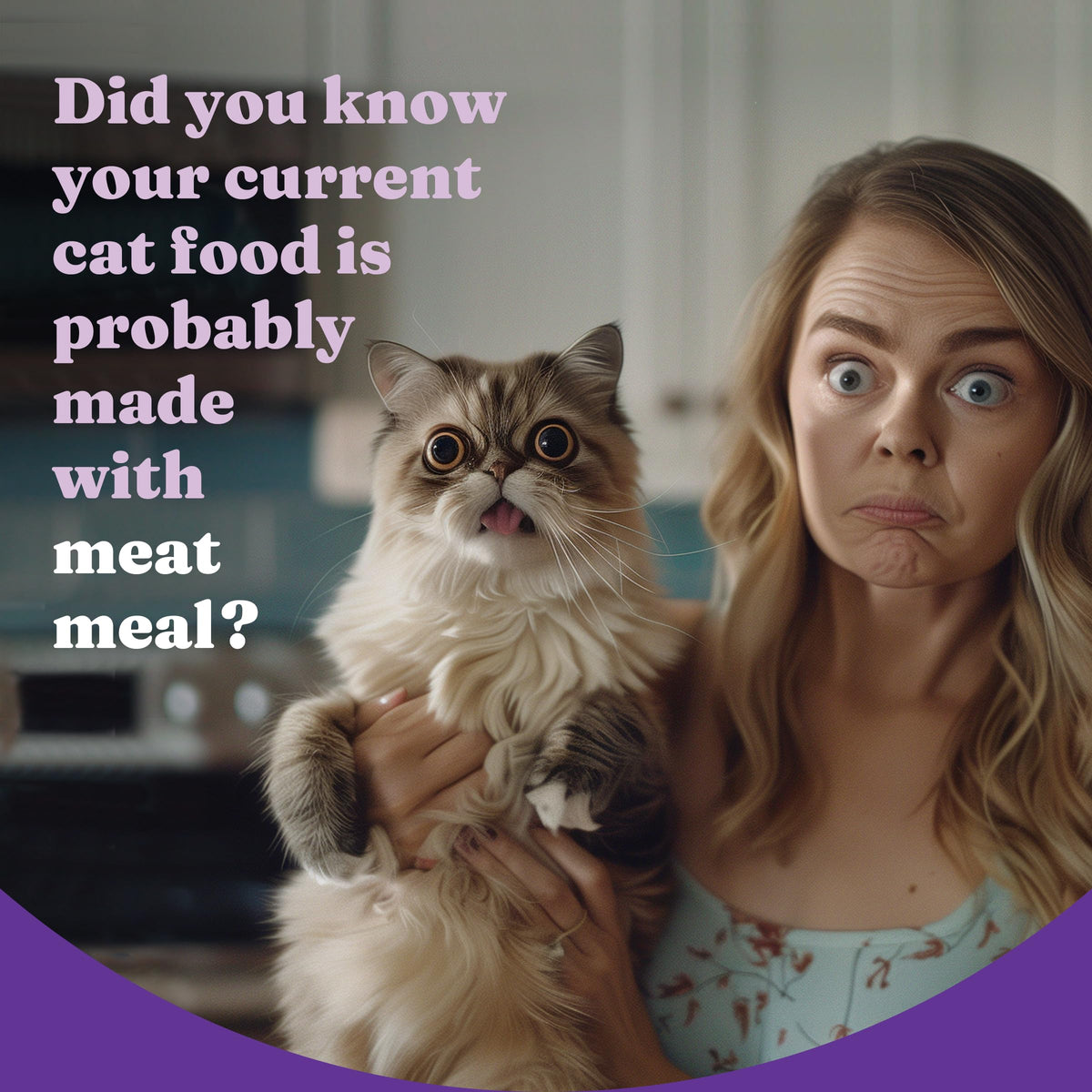 Dry Cat Food 3 lb I5494