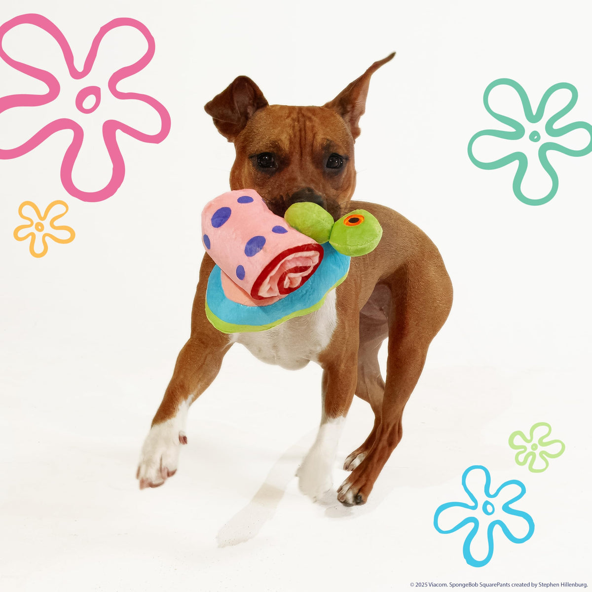 Squeaky Plush Dog Toys 2-Pack I41031