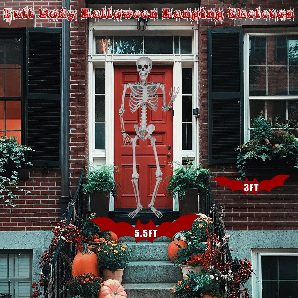 5.4 Ft Lighted Life Size Plastic Skeleton with Movable Joint Y2379