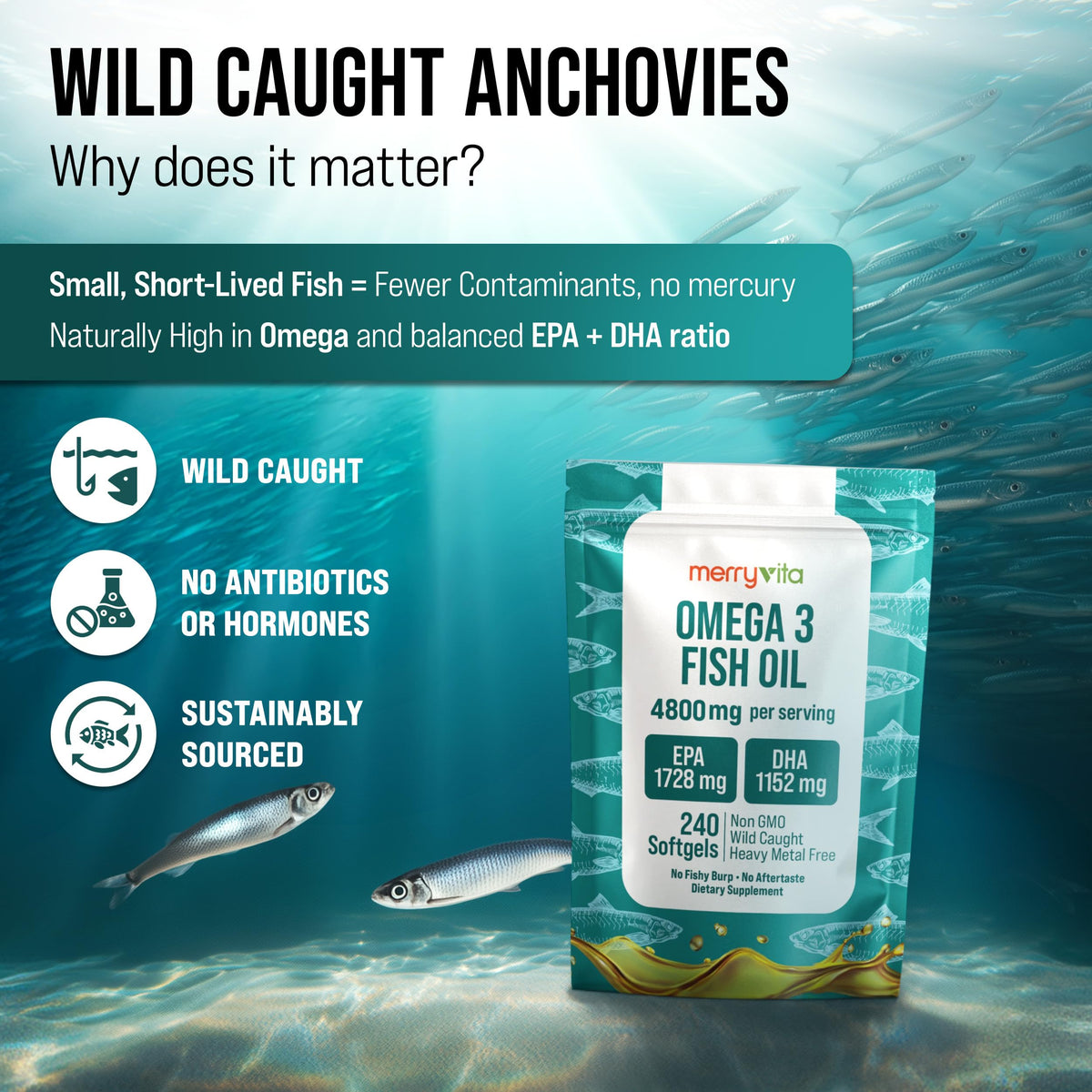 Omega 3 Fish Oil 4800 mg Softgels 240 Capsules D99039