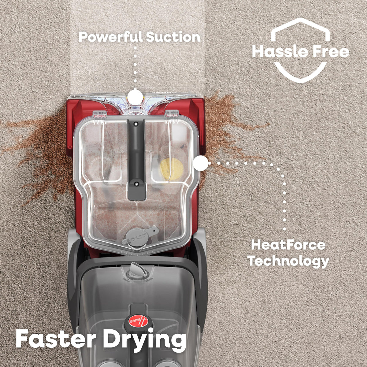 Carpet Cleaner Machine with Pet & Upholstery Tools S238